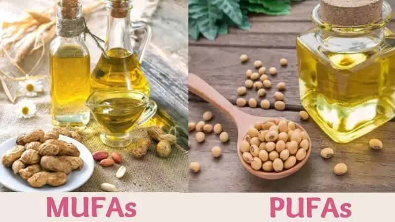 PUFA là gì? Vai trò và những thực phẩm chứa PUFAs