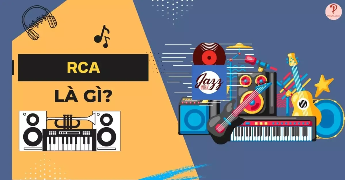 RCA là gì? Mẹo phân biệt chức năng của jack RCA