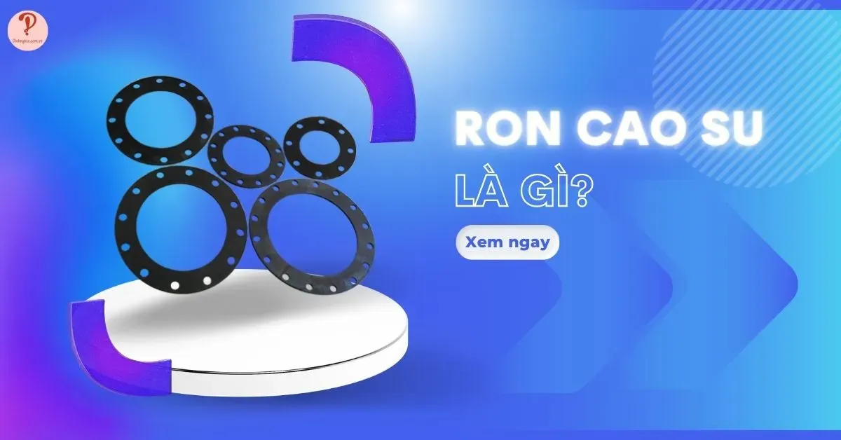 Ron cao su là gì? Phân loại, ứng dụng và lưu ý khi mua ron cao su