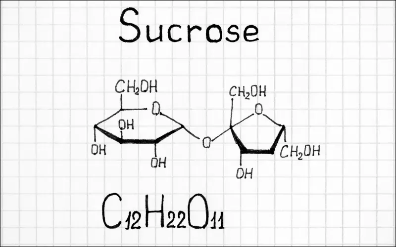 Saccarozo là gì? Công thức cấu tạo, điều chế và tính ứng dụng