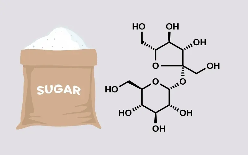 Saccarozo là gì? Công thức cấu tạo, điều chế và tính ứng dụng