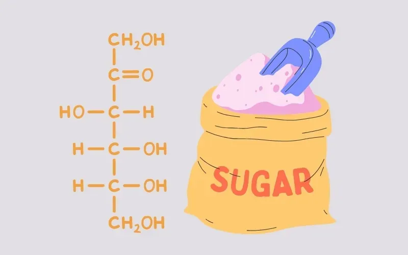 Saccarozo là gì? Công thức cấu tạo, điều chế và tính ứng dụng