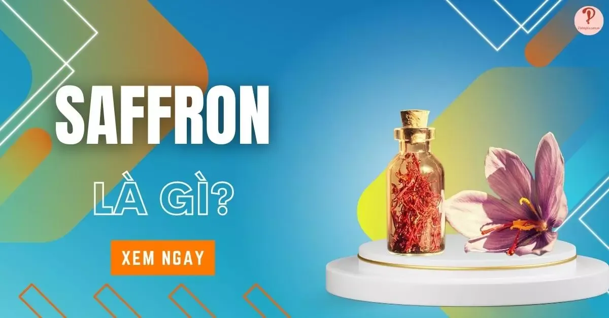 Saffron là gì? 11 tác dụng của Saffron đối với sức khỏe