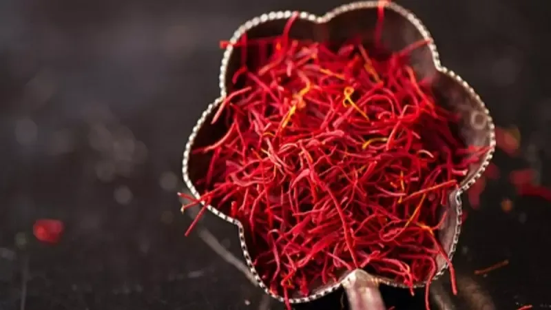 Saffron là gì? 11 tác dụng của Saffron đối với sức khỏe