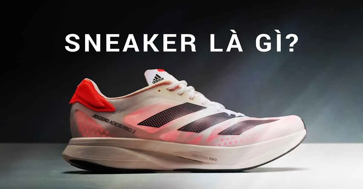 Sneaker là gì? Cách phân biệt các loại sneaker đơn giản nhất