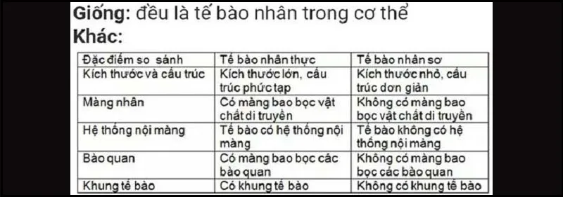 So sánh tế bào nhân sơ và nhân thực – Sinh học lớp 10