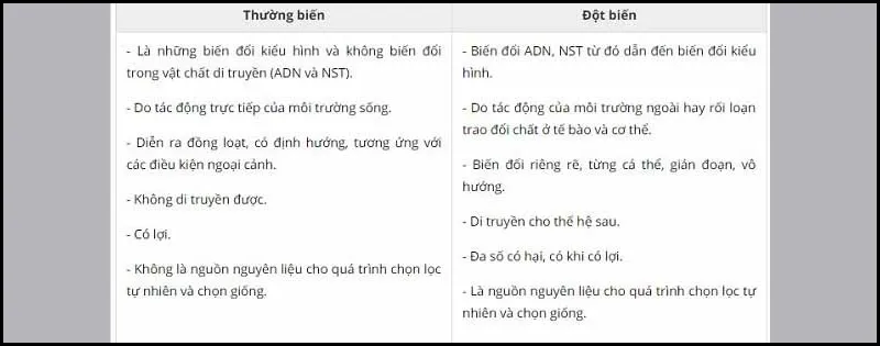 So sánh thường biến và đột biến dựa trên những yếu tố nào? Sinh học 9