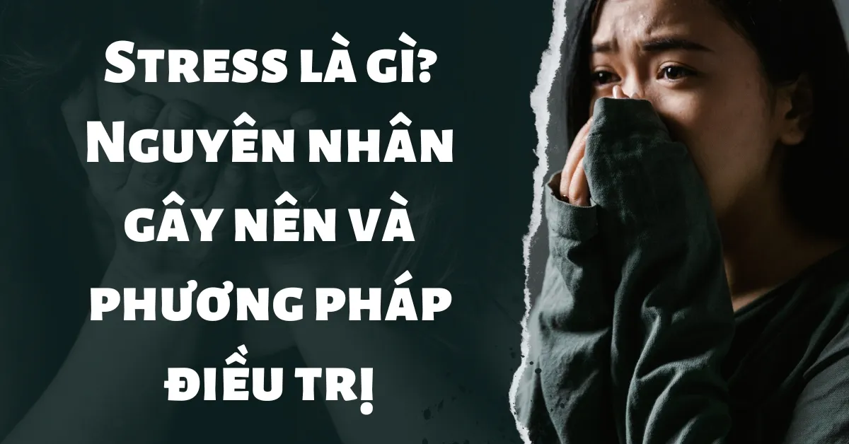 Stress là gì? Nguyên nhân gây nên và phương pháp điều trị chi tiết