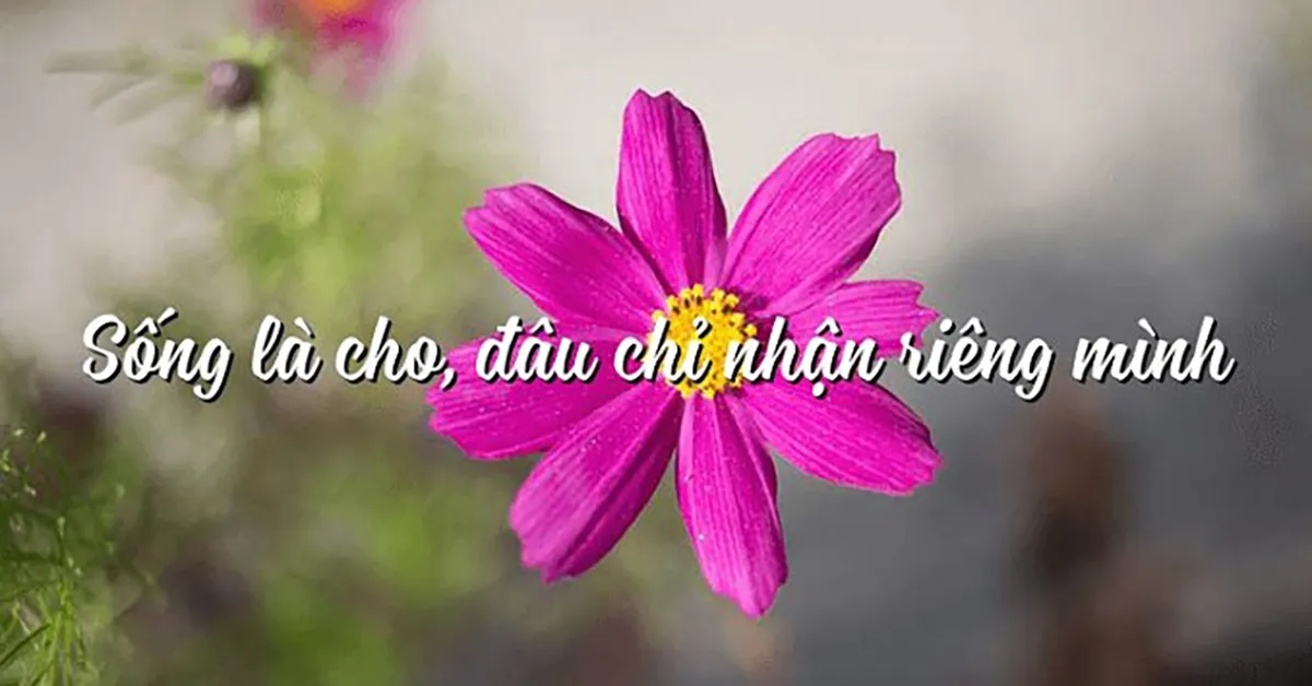 Suy nghĩ về câu nói “Sống là cho đâu chỉ nhận riêng mình” (Tố Hữu)