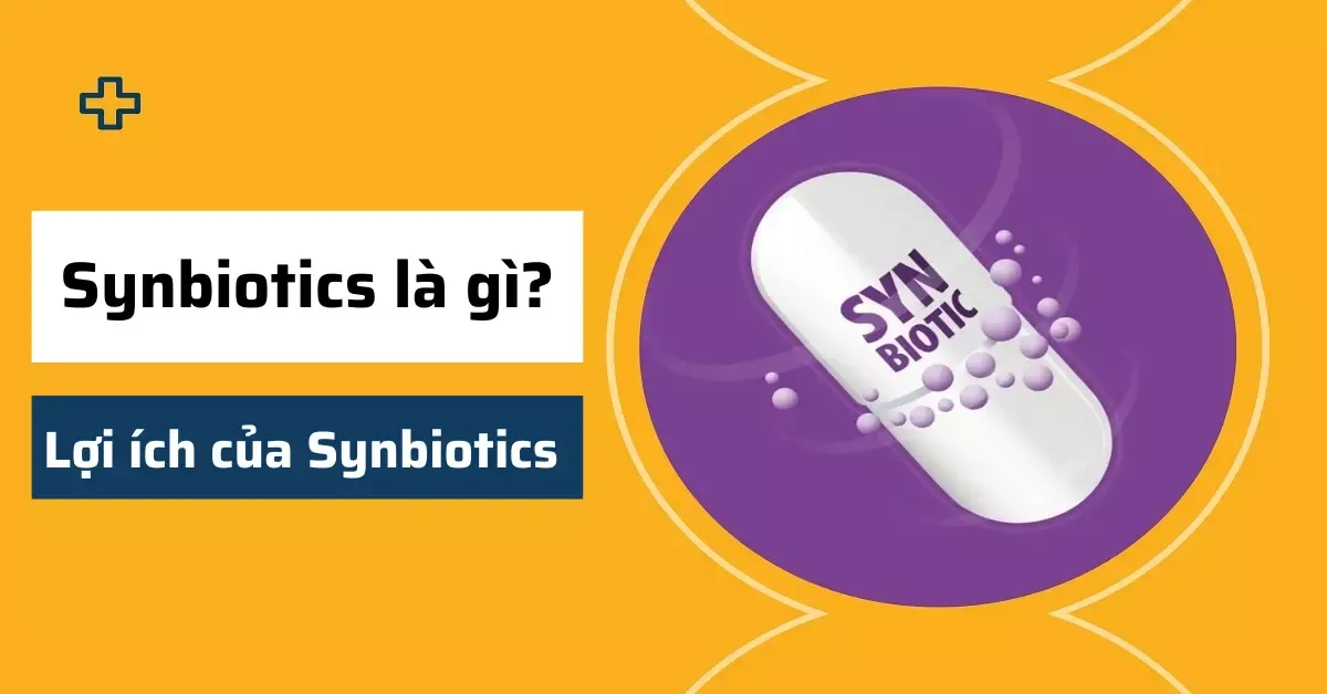 Synbiotics là gì? 6 lợi ích của Synbiotics tốt cho sức khỏe cần biết