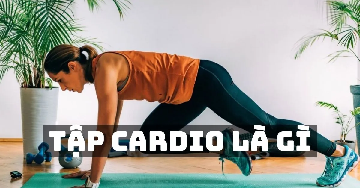 Tập cardio là gì? 10 bài tập cardio để giảm cân và đốt mỡ hiệu quả mà bạn nên biết