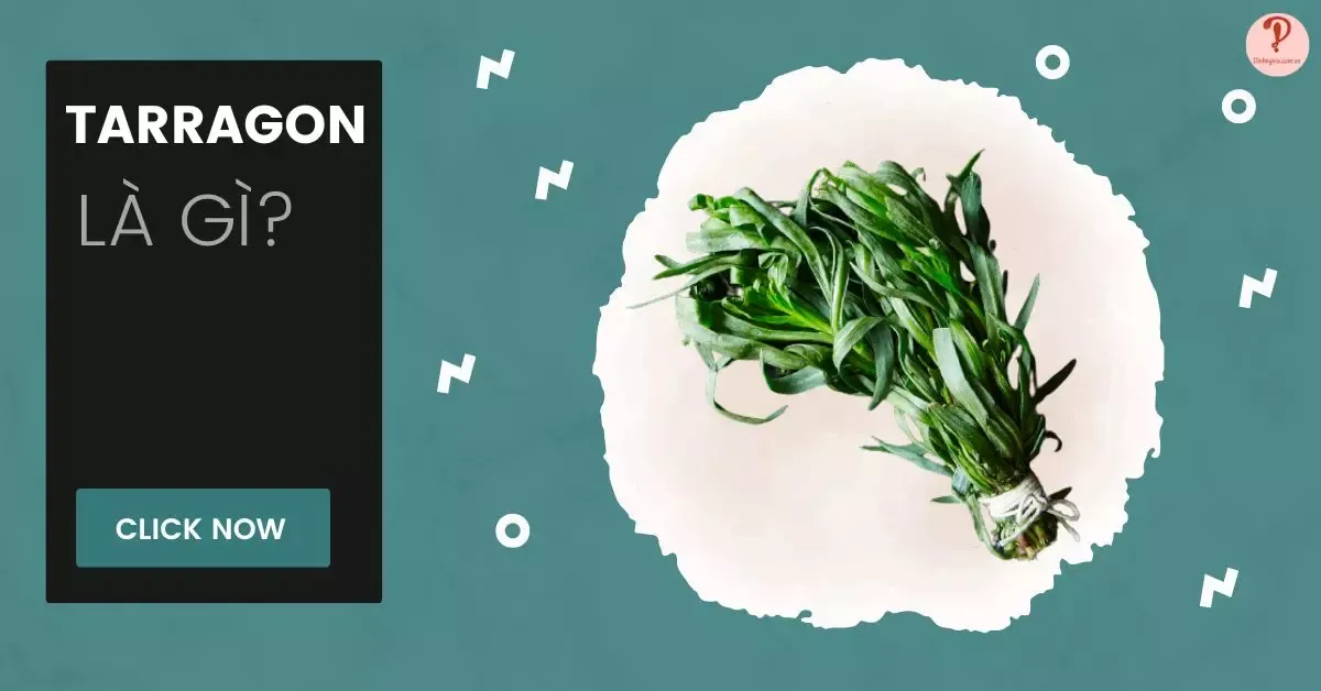 Tarragon là gì? Tổng hợp 7 công dụng của Tarragon nên biết