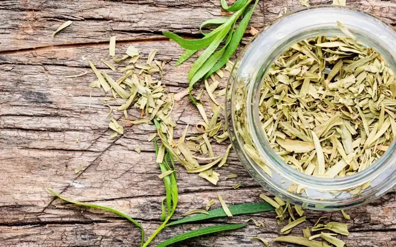 Tarragon là gì? Tổng hợp 7 công dụng của Tarragon nên biết