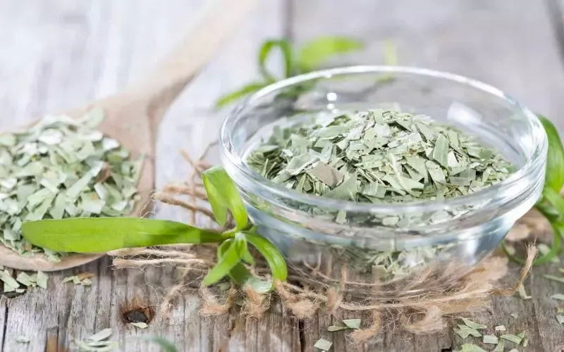 Tarragon là gì? Tổng hợp 7 công dụng của Tarragon nên biết