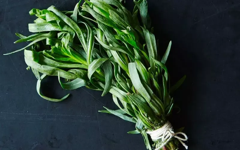 Tarragon là gì? Tổng hợp 7 công dụng của Tarragon nên biết