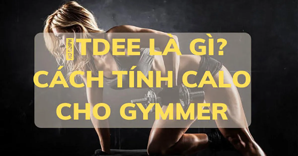 TDEE là gì? Cách tính TDEE – BMR, đo lượng calo chính xác cho gymmer