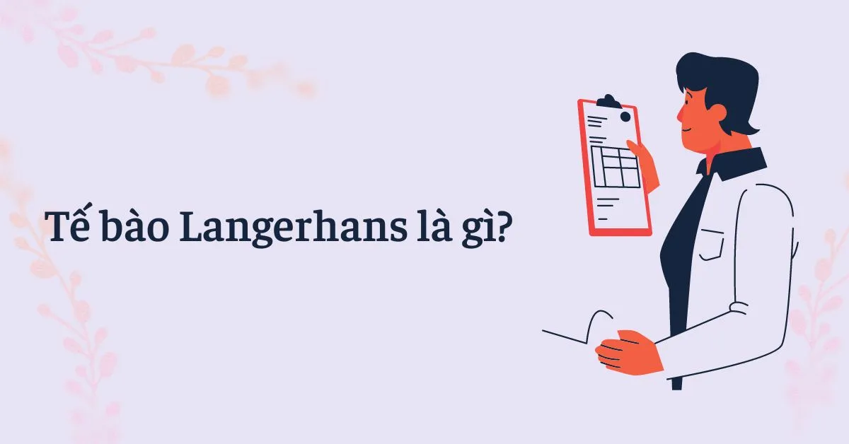 Tế bào Langerhans là gì?