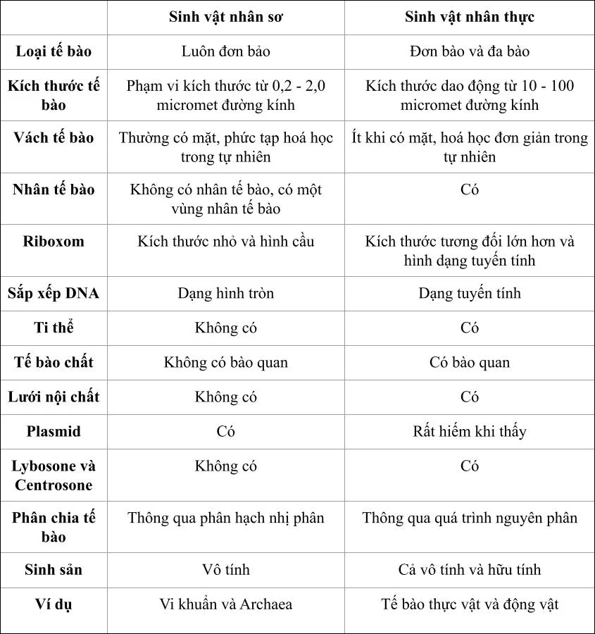 Tế bào nhân sơ là gì? Cấu tạo và Đặc điểm của tế bào nhân sơ