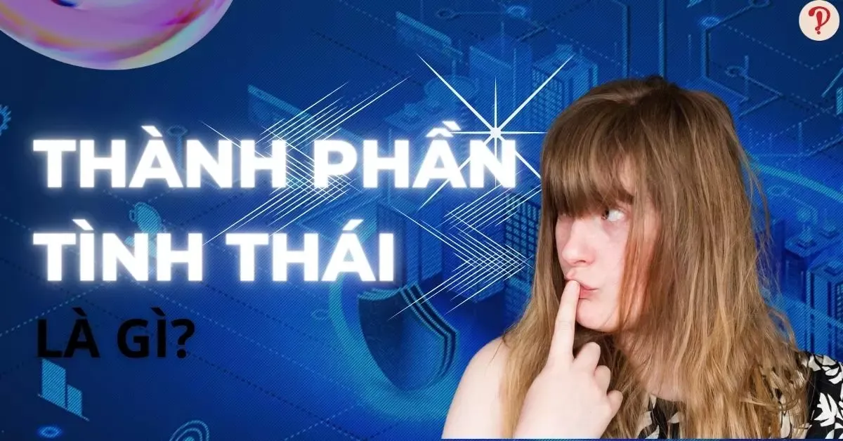 Thành phần tình thái là gì? Dấu hiệu và các ví dụ của thành phần tình thái