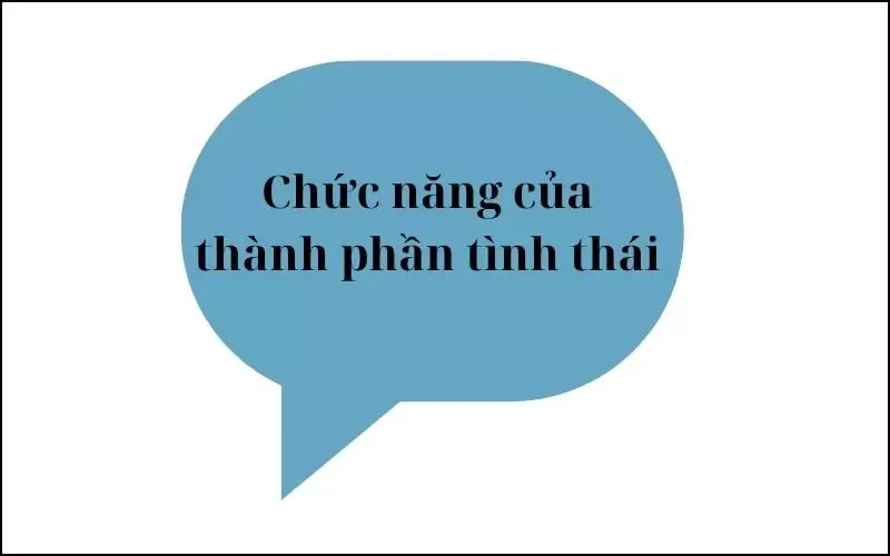 Thành phần tình thái là gì? Dấu hiệu và các ví dụ của thành phần tình thái