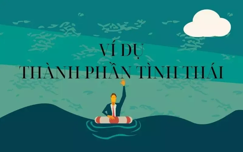 Thành phần tình thái là gì? Dấu hiệu và các ví dụ của thành phần tình thái