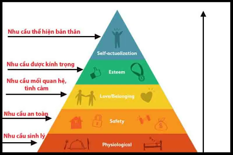 Tháp nhu cầu Maslow là gì? Ý nghĩa của tháp Maslow trong cuộc sống