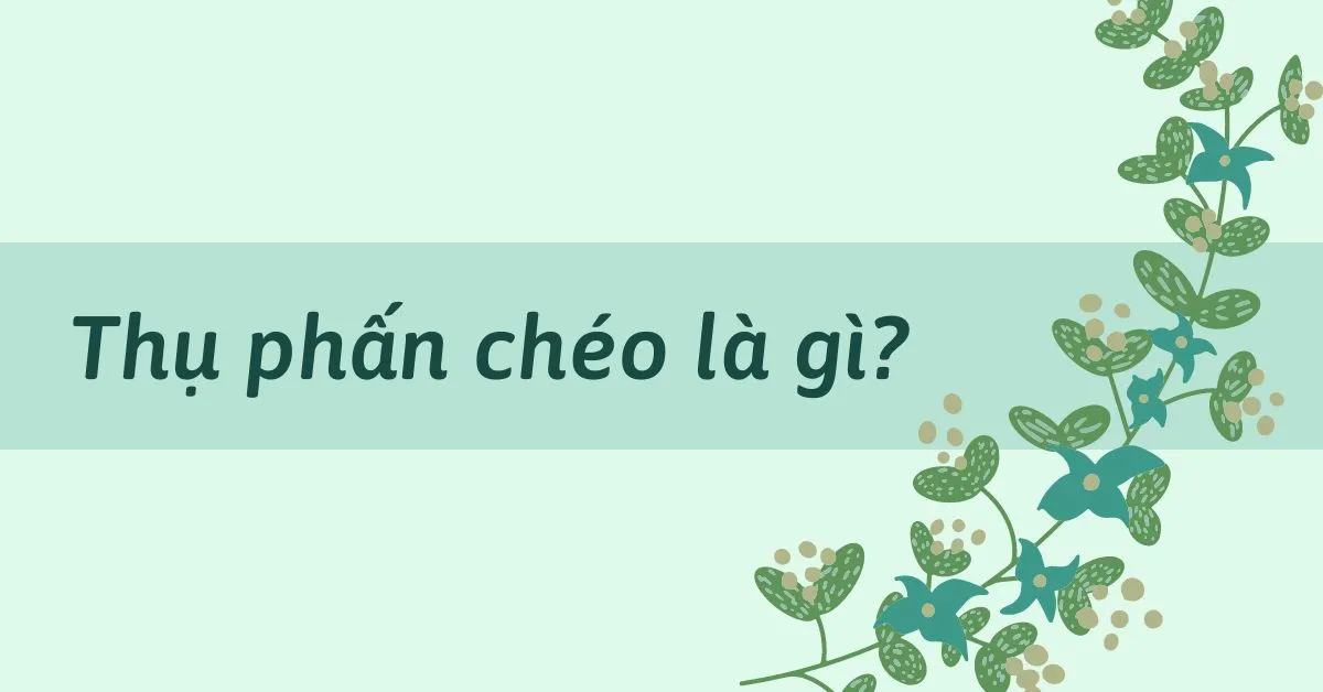 Thụ phấn chéo là gì? Các hình thức thụ phấn chéo tự nhiên