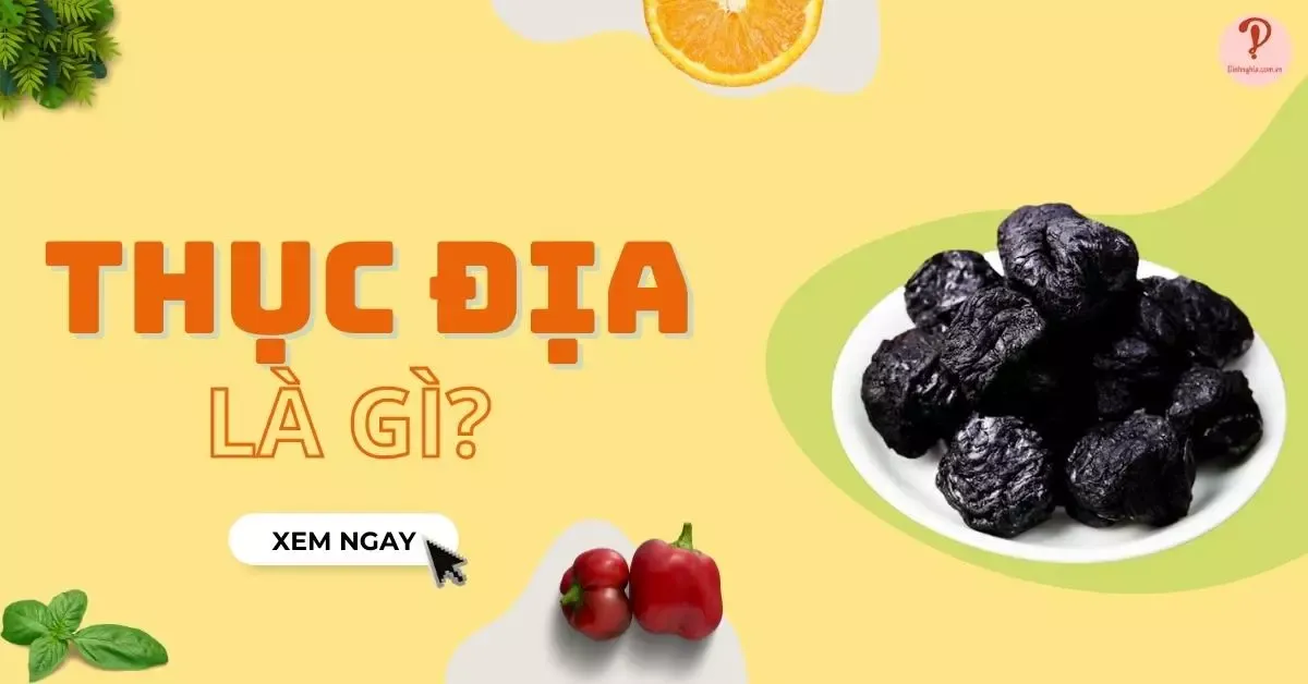 Thục địa là gì? Có tác dụng gì? Mua ở đâu và lưu ý khi dùng