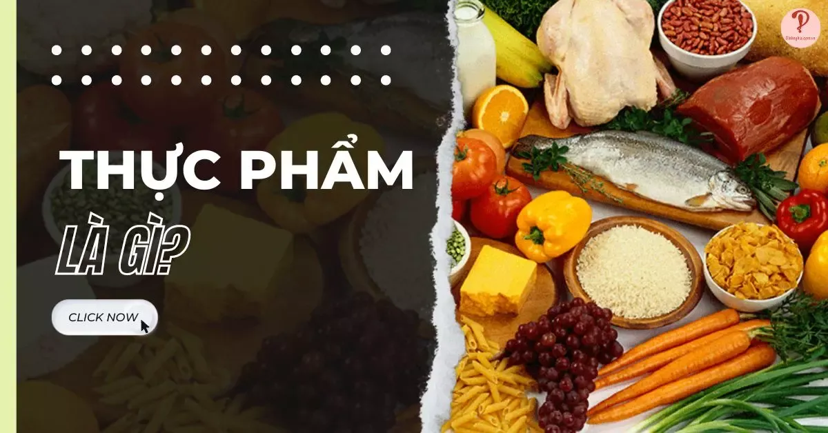 Thực phẩm là gì? Có mấy loại? Một số thực phẩm giàu dinh dưỡng