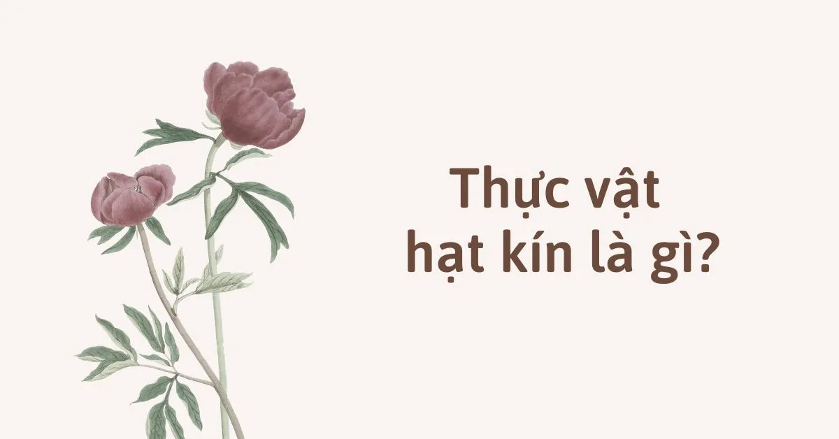 Thực vật hạt kín và Sự phát triển của thực vật hạt kín