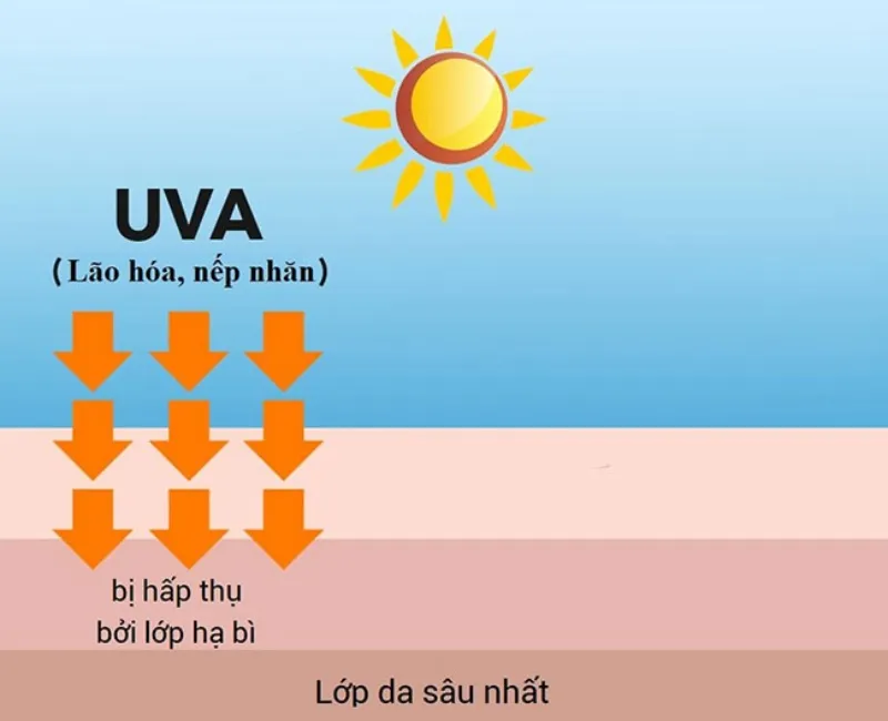 Tia UV là gì và cách hạn chế những ảnh hưởng xấu của tia UV