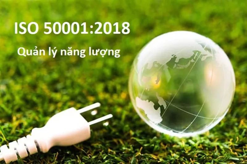 Tiêu chuẩn ISO là gì? Những tiêu chuẩn ISO phổ biến