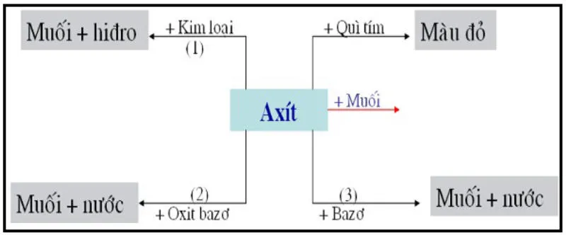 Tính chất hóa học của axit là gì? Cách phân loại axit và Các loại axit tiêu biểu