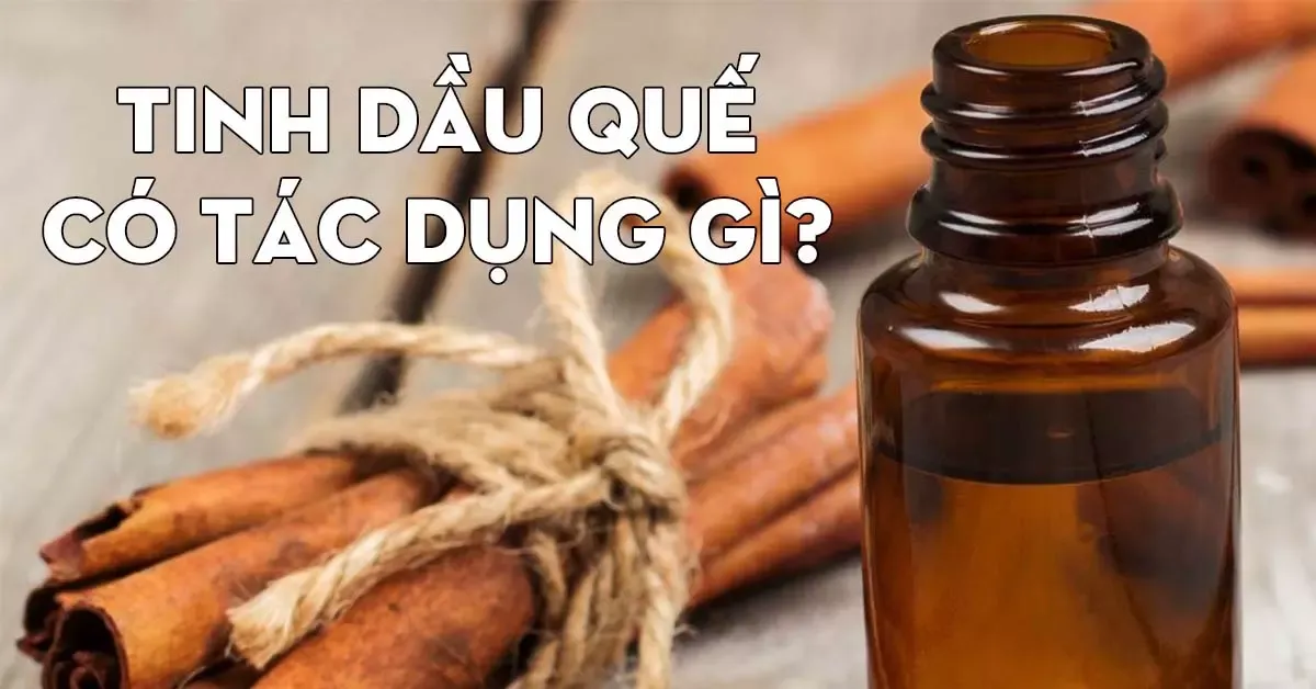 Tinh dầu quế có tác dụng gì? Cách dùng tinh dầu quế