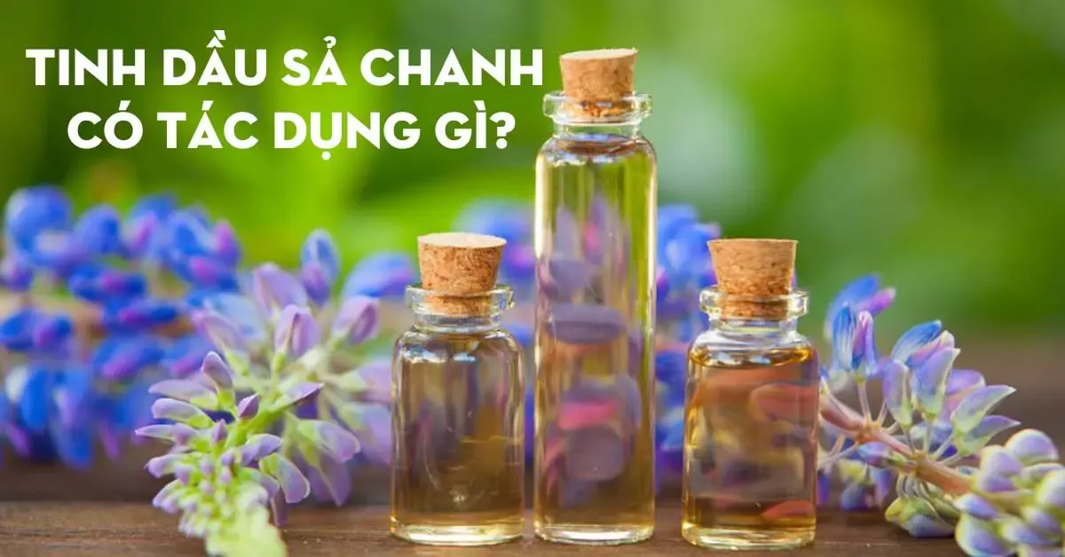 Tinh dầu sả chanh có tác dụng gì? Lợi ích khi dùng tinh dầu sả chanh