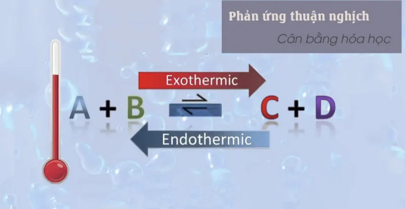 Tốc độ phản ứng hóa học lớp 10