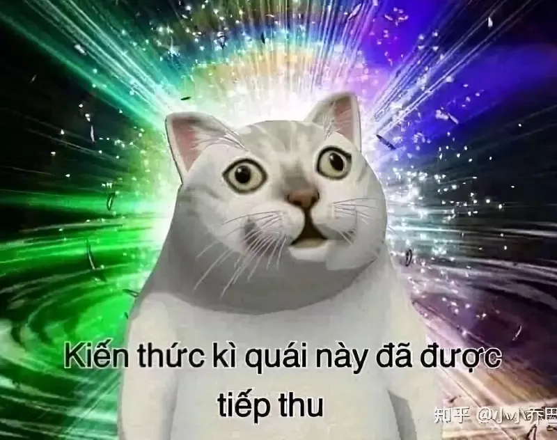 Tổng hợp những meme mèo cực đáng yêu, hài hước nhất 2023