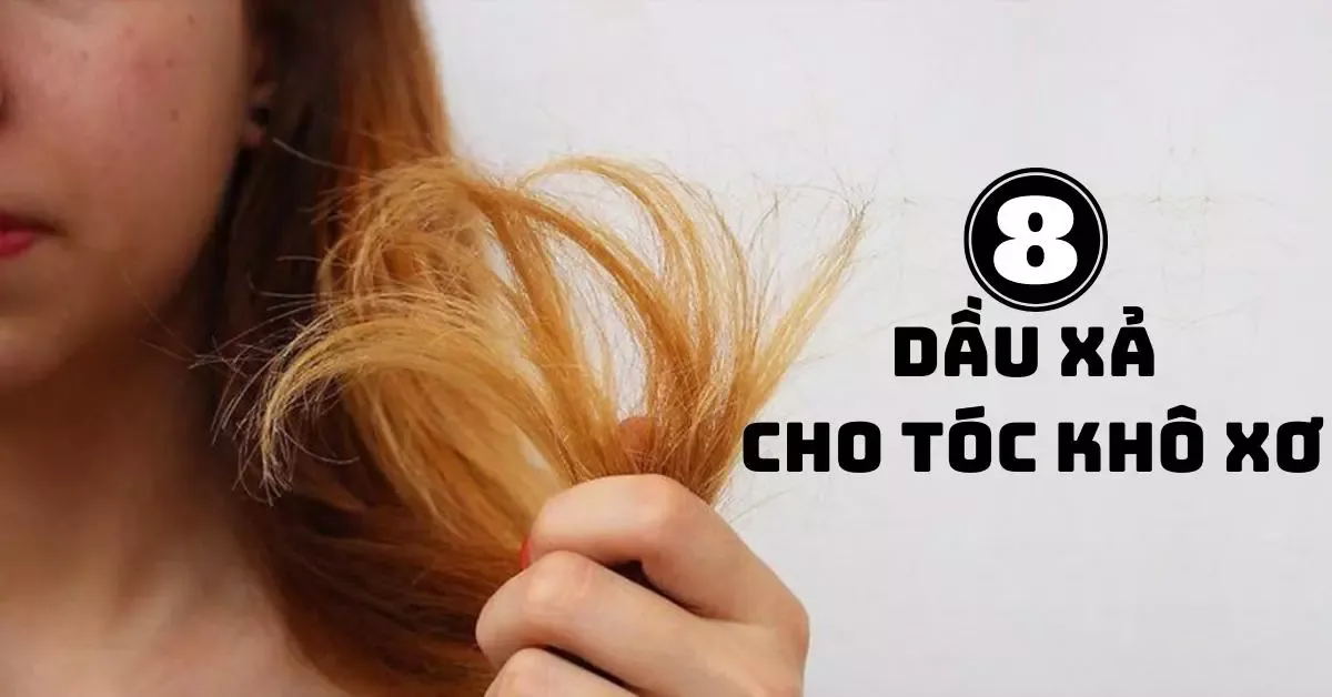 Top 8 dầu xả cho tóc khô xơ tốt được tin dùng nhất hiện nay