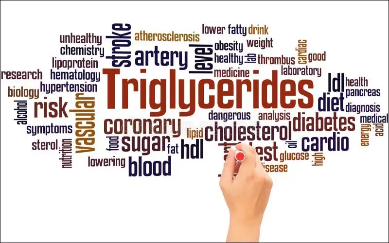 Triglyceride là gì? Tìm hiểu xét nghiệm định lượng triglycerid