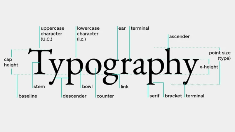 Typo là gì? Các quy tắc, cách trình bày và lỗi typo thường gặp