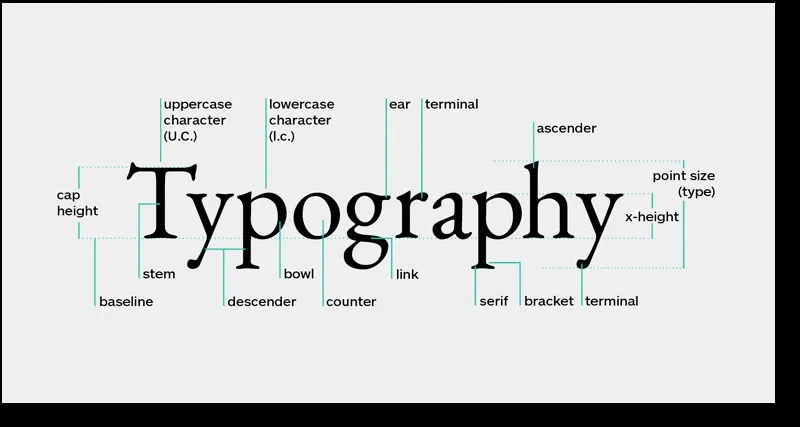 Typography là gì? Cần biết gì về Typography trong thiết kế