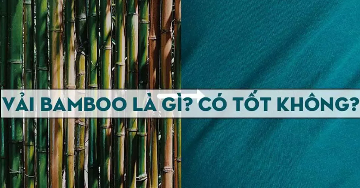 Vải Bamboo là gì? Tìm hiểu đặc tính và ứng dụng của loại vải tre