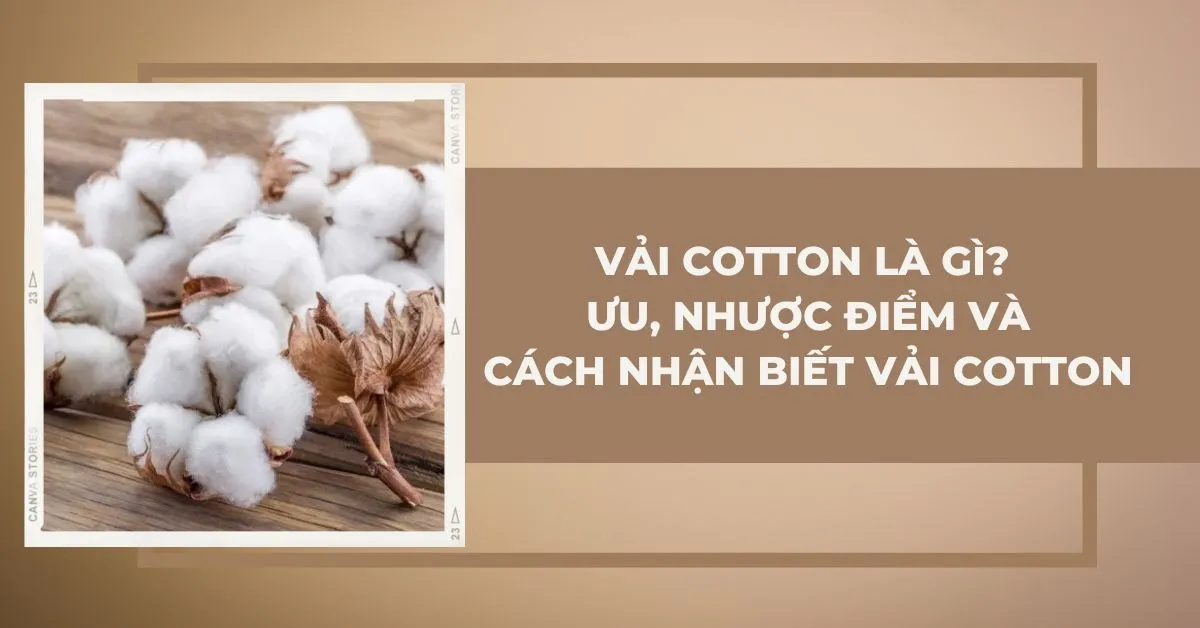 Vải cotton là gì? Ưu và nhược điểm của vải cotton