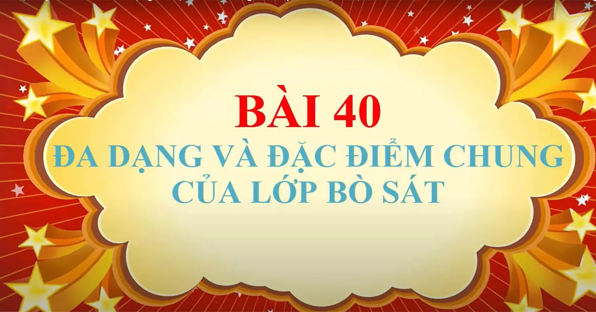 Vai trò và đặc điểm chung của lớp bò sát – Sinh học 7 Bài 40