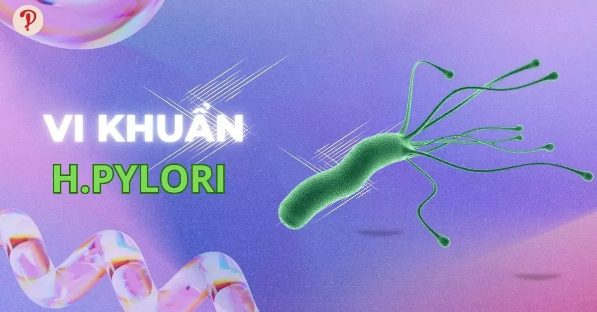 Vi khuẩn HP (H.pylori) là gì? Nguyên nhân gây bệnh về dạ dày