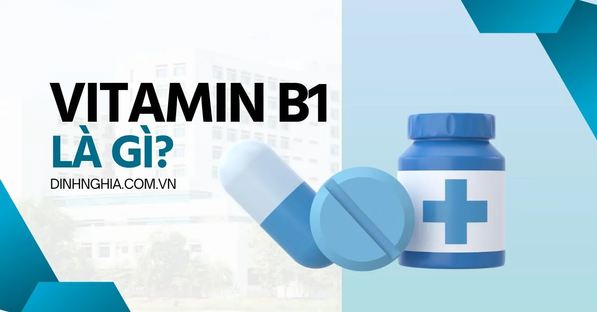 Vitamin B1 là thuốc gì? Liều dùng và công dụng của Vitamin B1