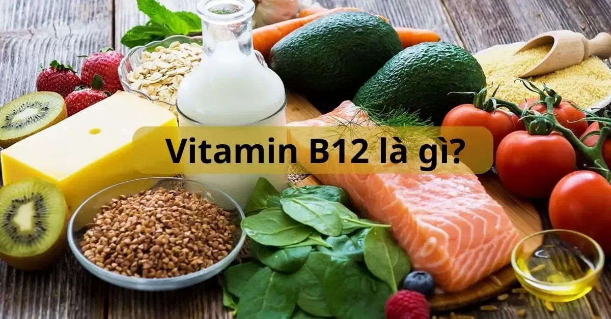 Vitamin B12 là gì, có trong thực phẩm nào? Tác dụng của B12