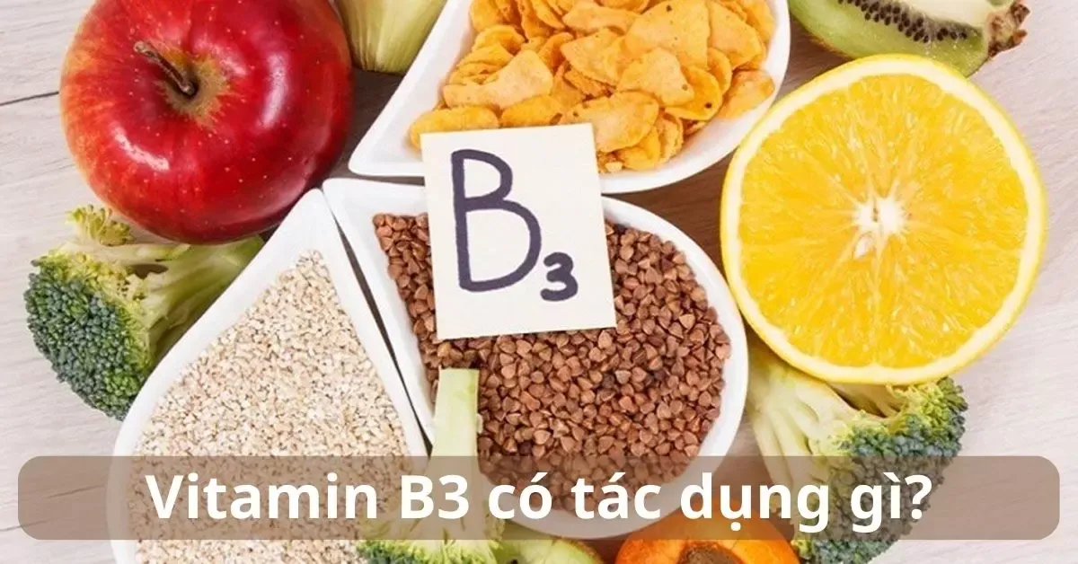 Vitamin B3 có tác dụng gì? 7 lợi ích của Vitamin B3 với sức khỏe