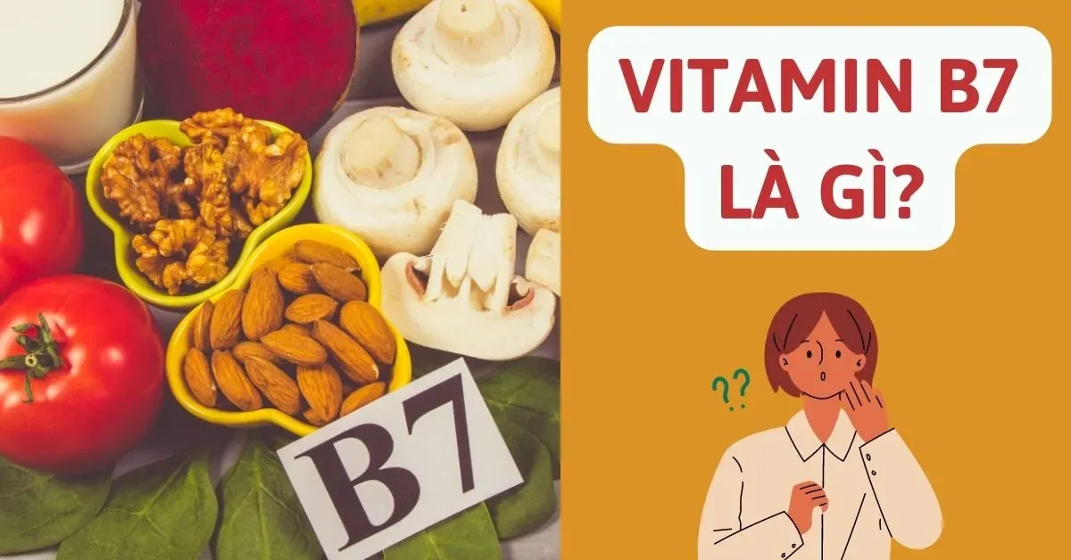 Vitamin B7 là gì? Lợi ích của vitamin B7 đối với sức khoẻ