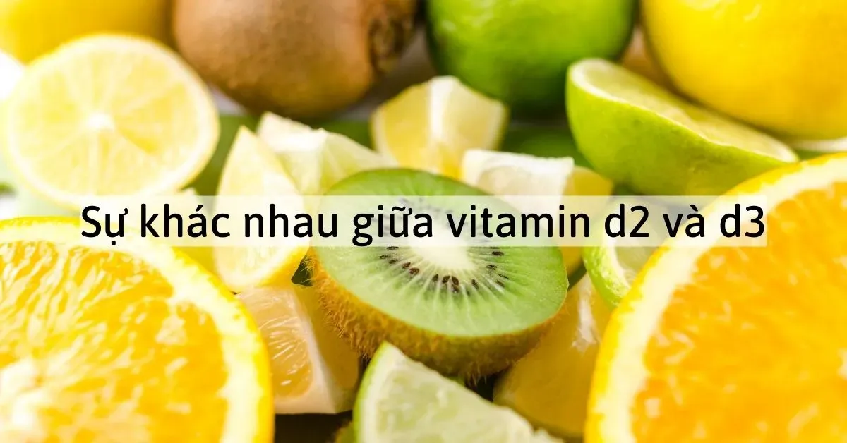 Vitamin D2 và D3 khác nhau như thế nào? Loại nào tốt hơn?